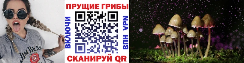 Галлюциногенные грибы MAGIC MUSHROOMS  Валуйки 