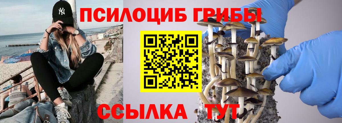 Валуйки  Псилоцибиновые грибы GOLDEN TEACHER  Вход с VPN  Галлюциногенные грибы Psilocybe 